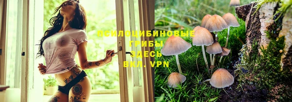 кокс Абинск