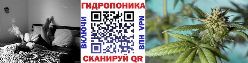 Бошки марихуана VHQ  ссылка на мегу зеркало  Яхрома 
